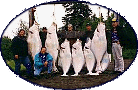 Alaska Halibut